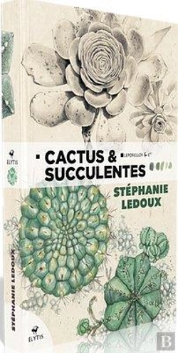 Bertrand.pt - Cactus & Succulentes