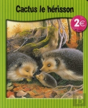 Cactus Le Hérisson
