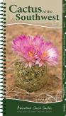 Cactus Of The Southwest