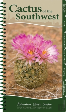 Bertrand.pt - Cactus Of The Southwest