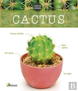 Bertrand.pt - Cactus