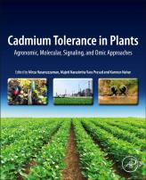 Cadmium Tolerance In Plants