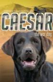 Caesar The War Dog