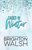 Caged In Winter