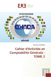 Cahier D'Activites En Comptabilite Generale - Tome 2