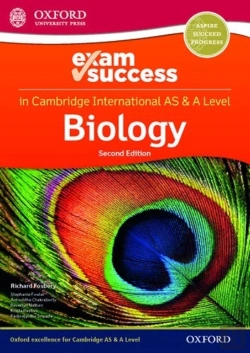 Bertrand.pt - Caie Esg Asal Bio Sbwl 2e