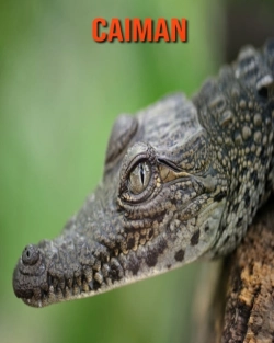 Bertrand.pt - Caiman