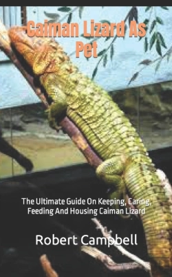 Bertrand.pt - Caiman Lizard As Pet
