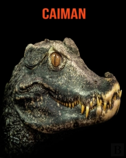 Bertrand.pt - Caiman