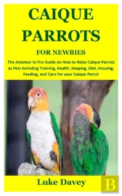 Caique Parrots For Newbies