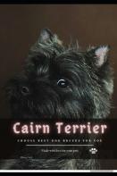 Cairn Terrier