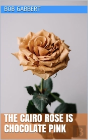 Cairo Rose Is Chocolate Pink
