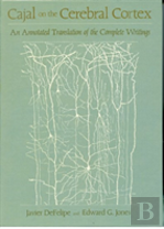 Cajal On The Cerebral Cortex