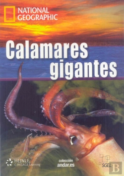 Bertrand.pt - Calamares Gigantes