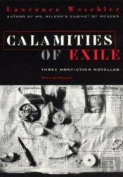 Calamities Of Exile