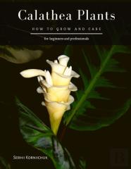 Calathea Plants