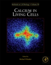 Calcium In Living Cells