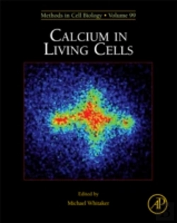 Bertrand.pt - Calcium In Living Cells