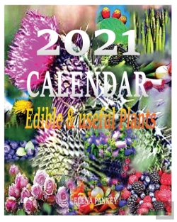 Bertrand.pt - Calendar 2021