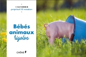 Calendrier 52 Semaines Bebes Animaux Rigolos