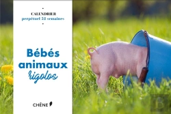 Bertrand.pt - Calendrier 52 Semaines Bebes Animaux Rigolos