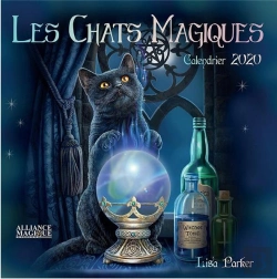 Bertrand.pt - Calendrier Des Chats Magiques 2020
