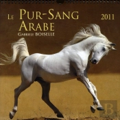 Calendrier Du Pur-Sang Arabe
