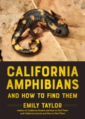 California Amphibians And How To Find Them