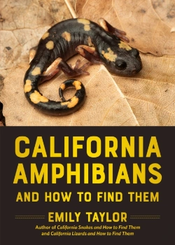 Bertrand.pt - California Amphibians And How To Find Them