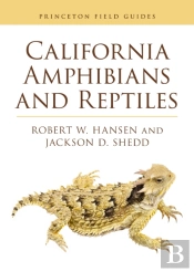 California Amphibians And Reptiles