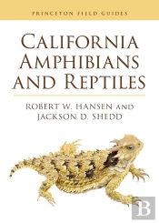 California Amphibians And Reptiles