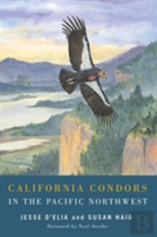 California Condors In The Pacific Northwest