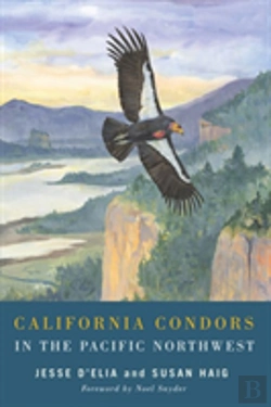Bertrand.pt - California Condors In The Pacific Northwest
