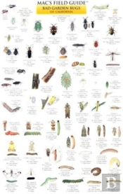 California Garden Bugs