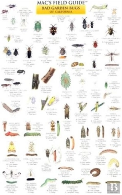 Bertrand.pt - California Garden Bugs