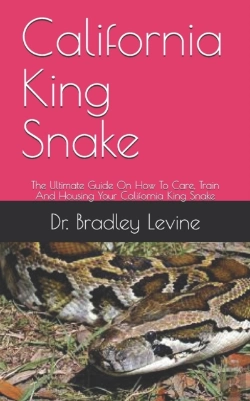 Bertrand.pt - California King Snake