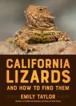 California Lizards And How To Find Them