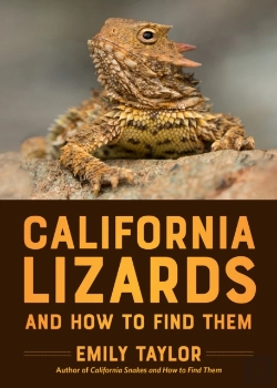 Bertrand.pt - California Lizards And How To Find Them