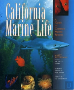 Bertrand.pt - California Marine Life