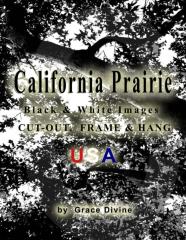 California Prairie Black & White Images Cut-Out, Frame & Hang Usa