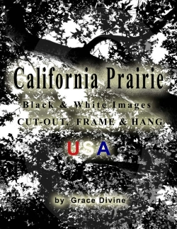 Bertrand.pt - California Prairie Black & White Images Cut-Out, Frame & Hang Usa