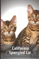 California Spangled Cat