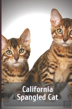 Bertrand.pt - California Spangled Cat