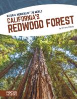 Californiaâ€™S Redwood Forest
