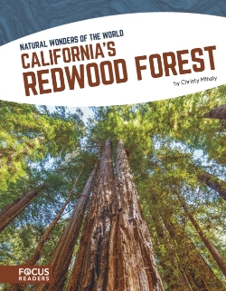 Bertrand.pt - Californiaâ€™S Redwood Forest