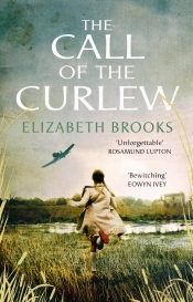 Call Of The Curlew
