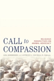 Call To Compassion