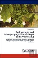 Callogenesis And Micropropagation Of Grape (Vitis Vinifera L.)