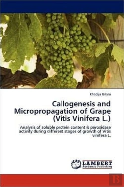 Bertrand.pt - Callogenesis And Micropropagation Of Grape (Vitis Vinifera L.)