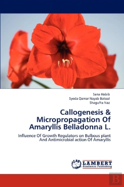 Bertrand.pt - Callogenesis & Micropropagation Of Amaryllis Belladonna L.